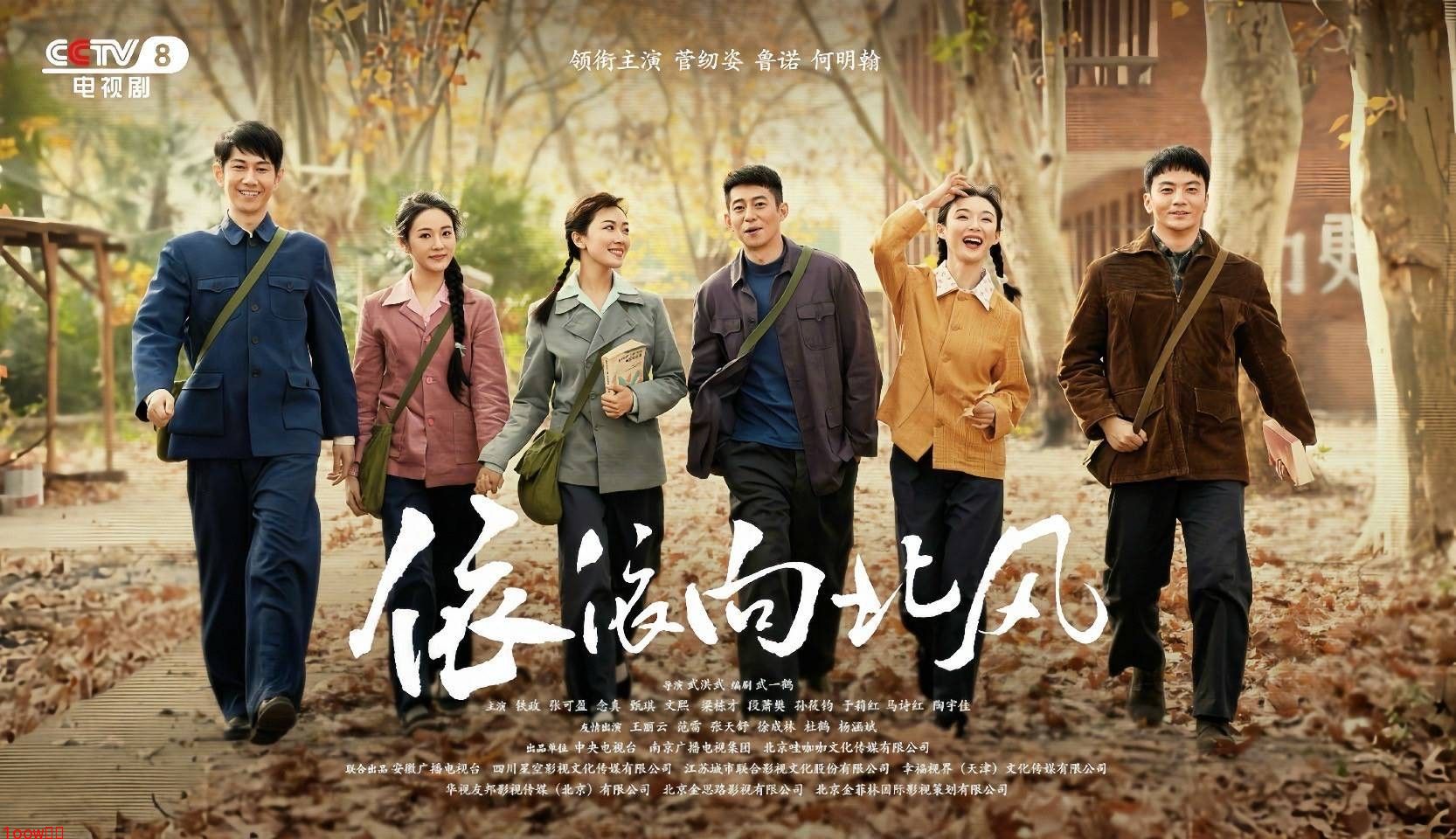 爆款剧《依依向北风》网友真实口碑出炉封面图