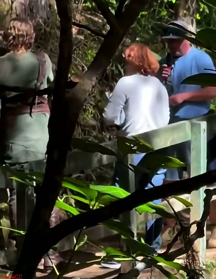 《塞尔达传说》真人电影片场视频泄露 装扮还原游戏封面图