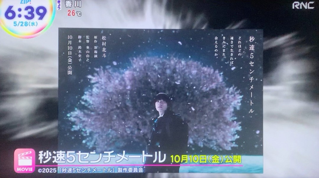 真人版《秒速五厘米》日本定档10月10日上映