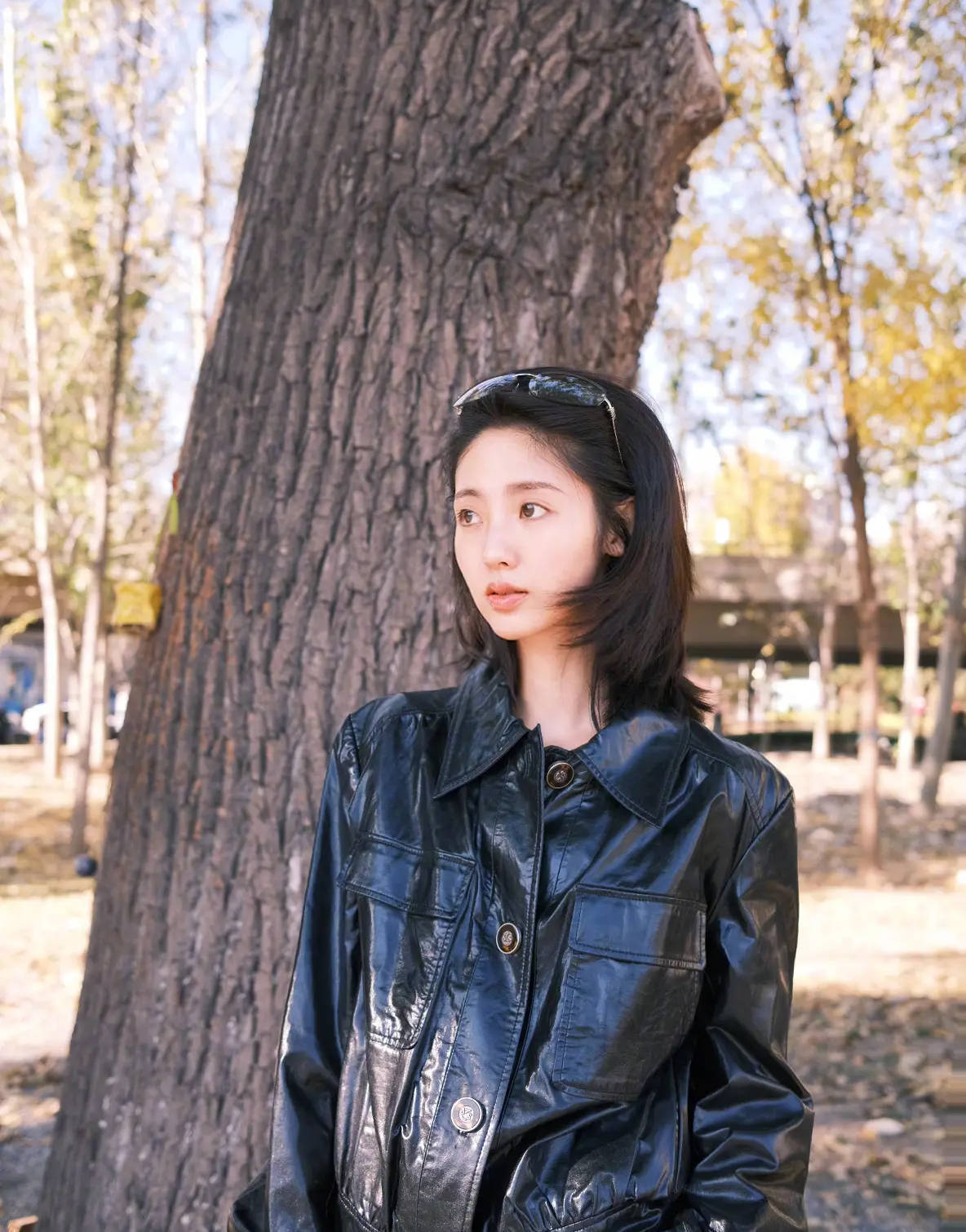 开车违规被拍！邢菲发文诚恳道歉：没有任何借口，对不起！封面图