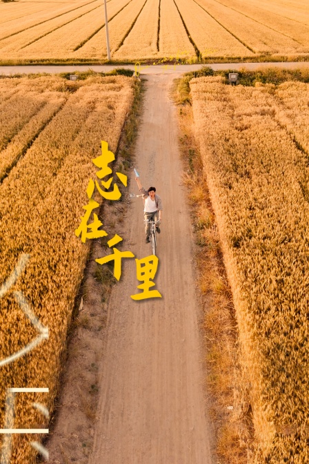 海报背景