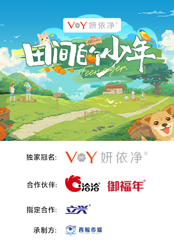 田间的少年封面图