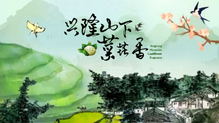 海报背景