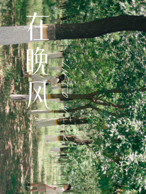 海报背景