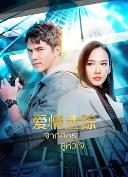 爱情迷踪封面图