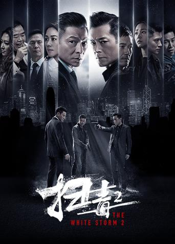 扫毒2：天地对决封面图