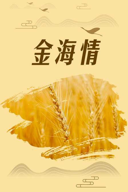 海报背景