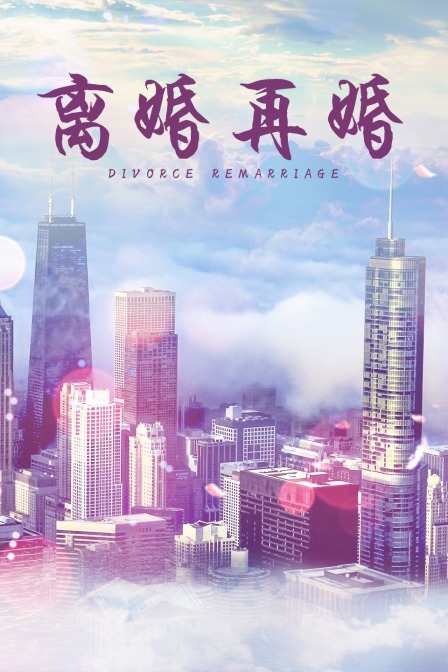 离婚再婚封面图