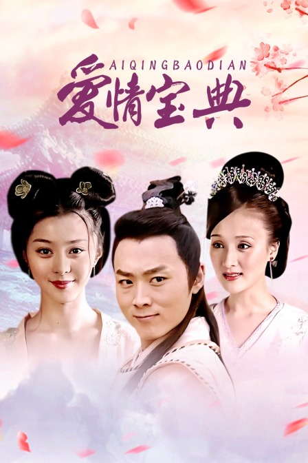 爱情宝典封面图