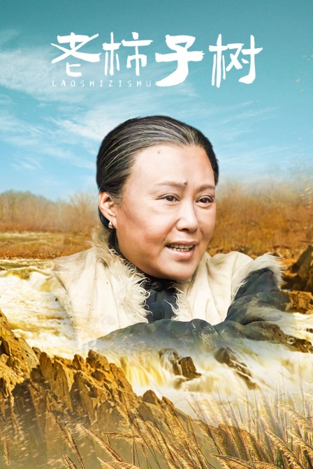 老柿子树封面图