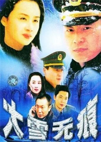 大雪无痕封面图