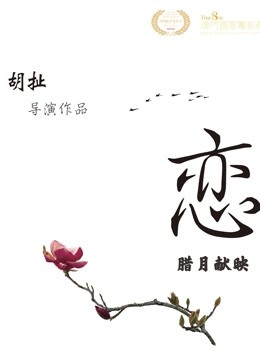 海报背景