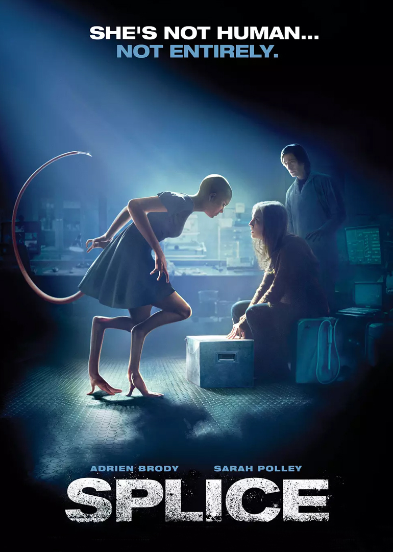 人工进化封面图