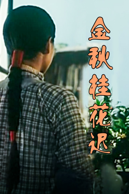 海报背景