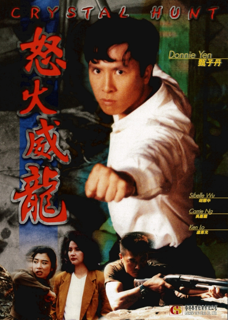 怒火威龙封面图