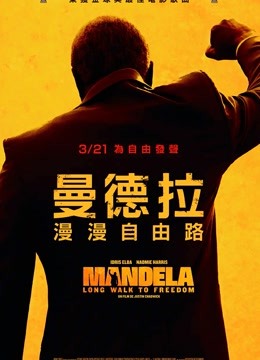 曼德拉（普通话）封面图