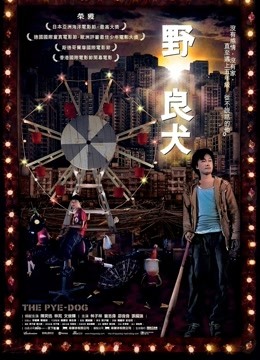 野·良犬封面图