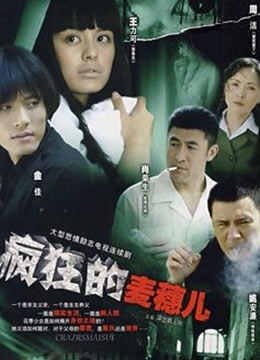 疯狂的麦穗封面图