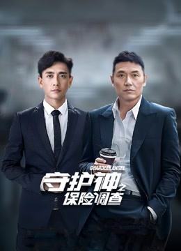 守护神之保险调查封面图