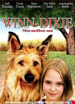 都是戴茜惹的祸封面图