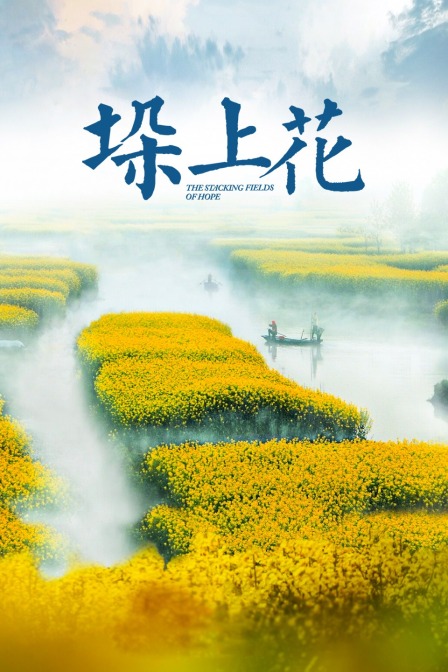 海报背景