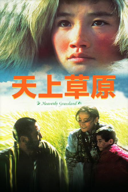 天上草原封面图