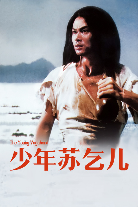 少年苏乞儿封面图