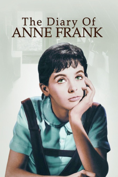 安妮少女的日记封面图