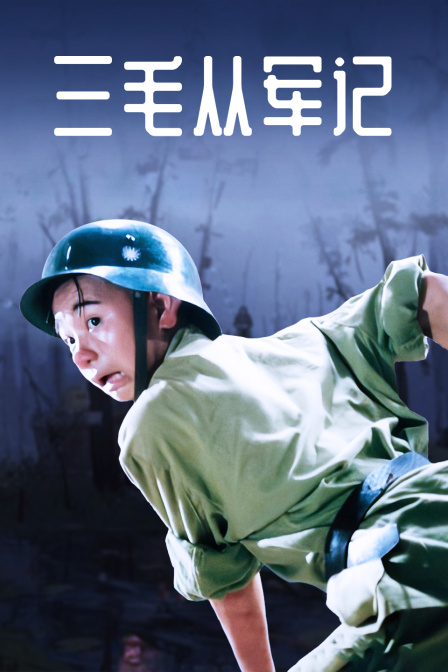 三毛从军记封面图
