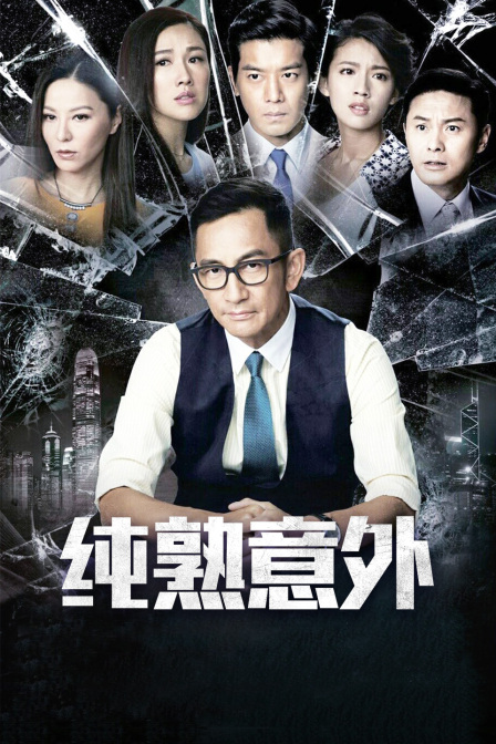 纯熟意外封面图