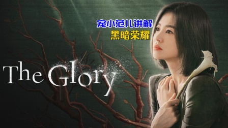 宠小范儿讲解《黑暗荣耀》封面图