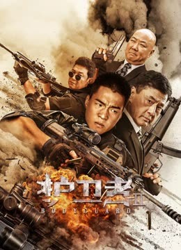 护卫者2封面图
