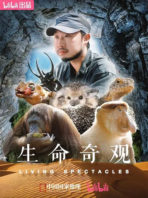 海报背景
