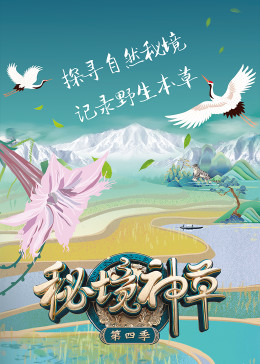 海报背景
