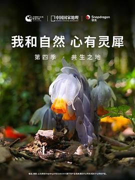海报背景