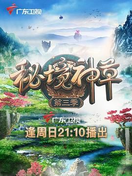 海报背景