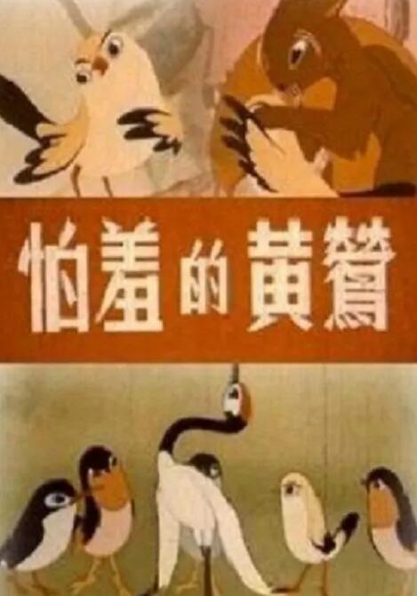 海报背景