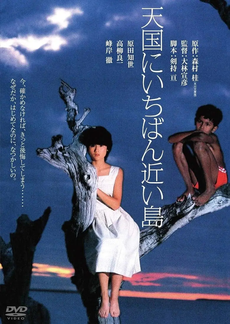 海报背景