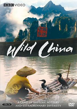 海报背景