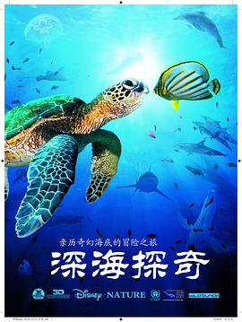 海报背景