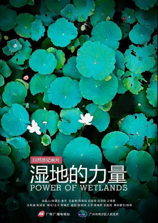 海报背景