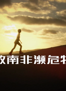 海报背景