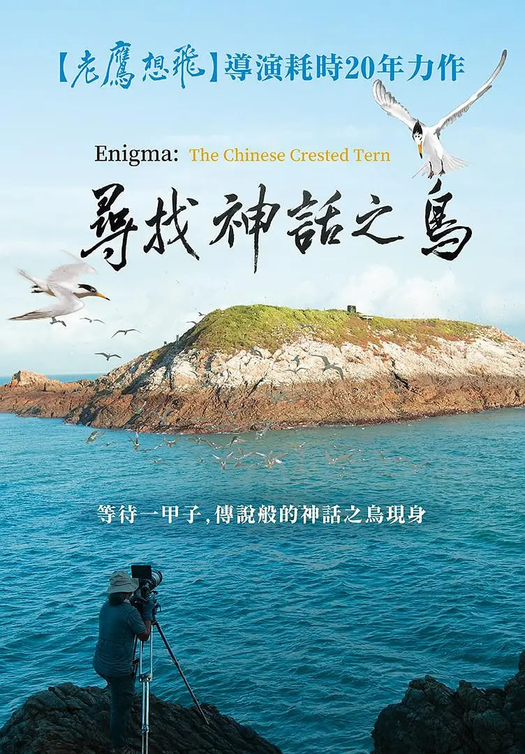 海报背景