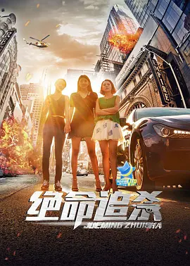 绝命追杀2017封面图