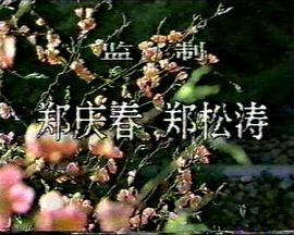 海报背景