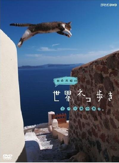 海报背景