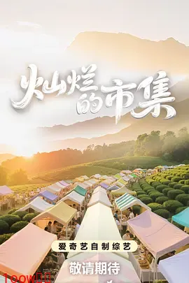 灿烂的市集封面图
