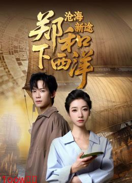 郑和下西洋：沧海新途封面图