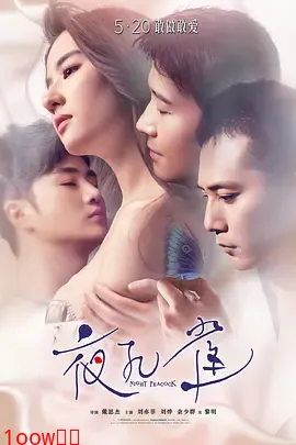 夜孔雀[电影解说]封面图