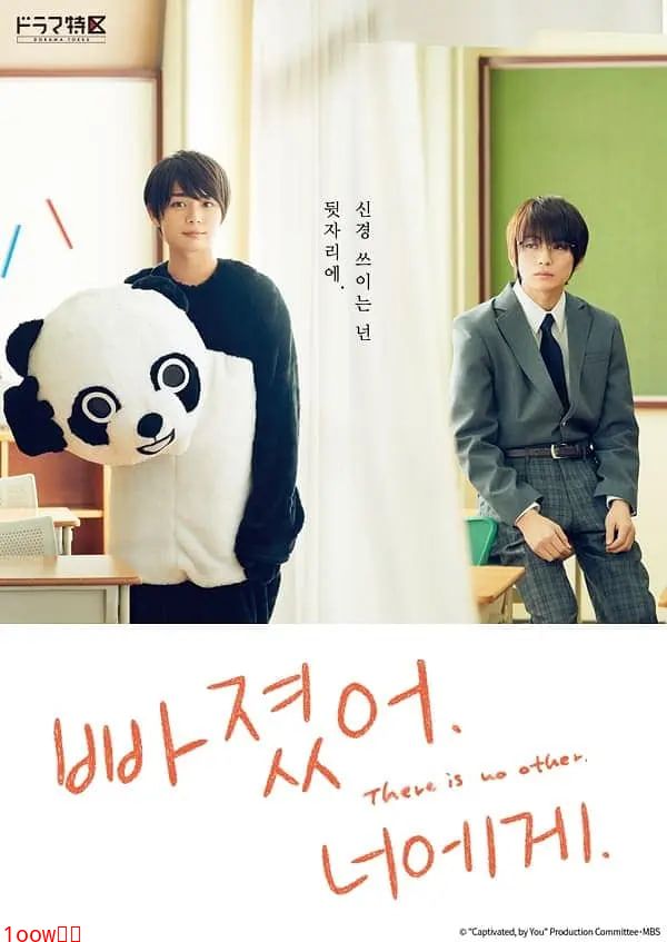 对你着迷封面图